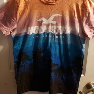 Hollister Beach print medium